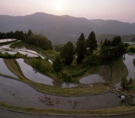 【最優秀賞】廣畑宗敏「夕照の棚田」