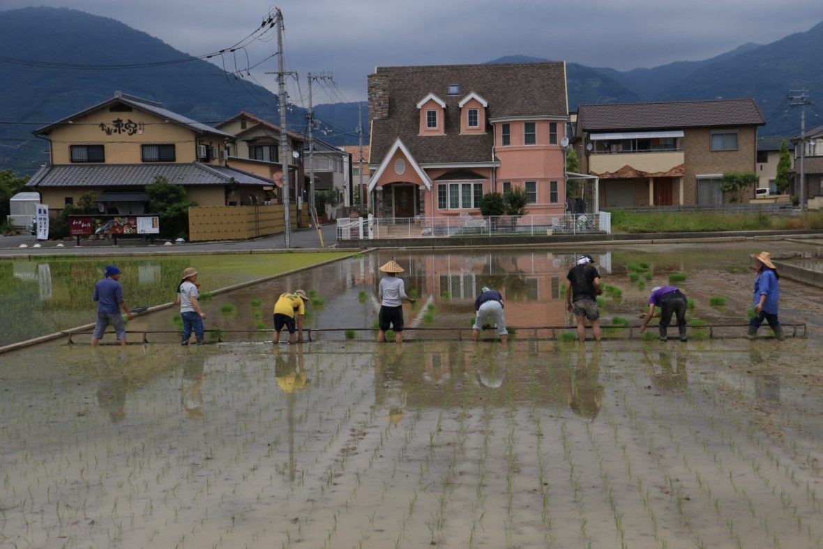 【入選】新家益代「田植えも楽しく」