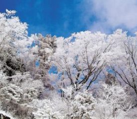 高野龍神スカイライン