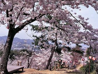 鳥屋城山